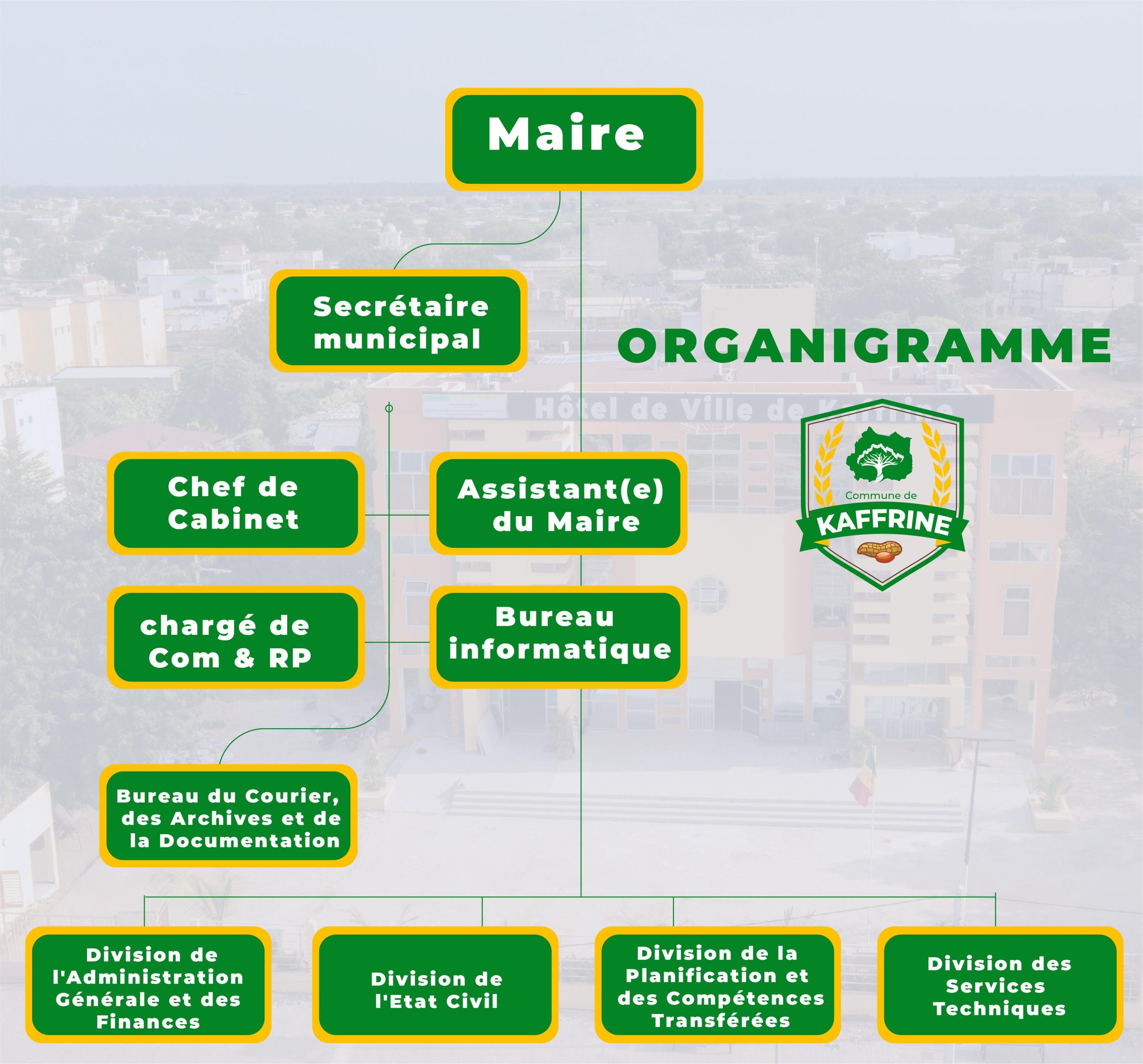 Organigramme-ville-kaffrine